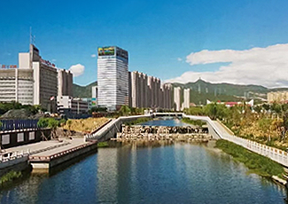 ��С������������