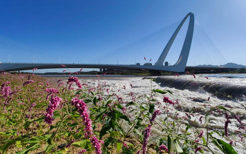 ��������֪�¡�������ı�����µ�һ������