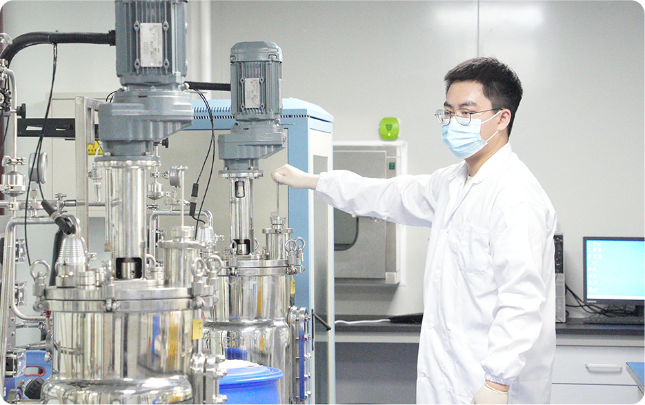 3133cc拉斯维加斯·(中国游)官方网站