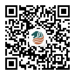 3133cc拉斯维加斯·(中国游)官方网站